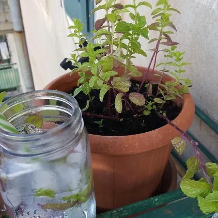 Appartement Stressfree